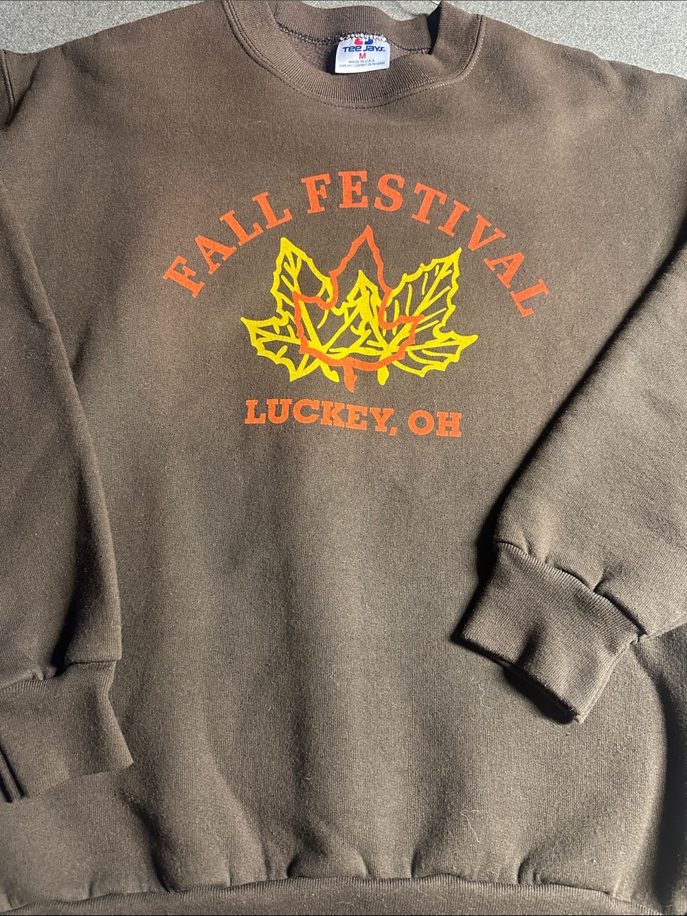 TED JAY Brown Fall Festival Graphic Crewneck Sweatshirt